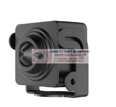 Camera IP ngụy trang 2.0 Megapixel HIKVISION DS-2CD2D21G0-D/NF