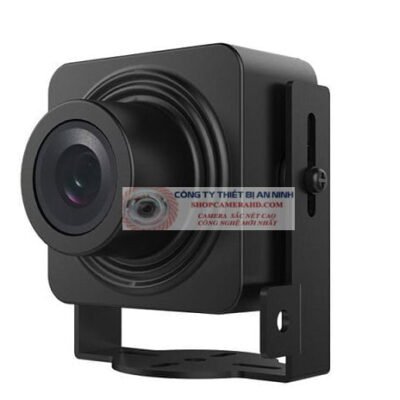 Camera IP ngụy trang 2.0 Megapixel HIKVISION DS-2CD2D21G0/M-D/NF