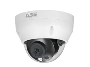 Camera IP Dome Có Dây 4.0 Megapixel IP DAHUA DS2431RDIP-S2