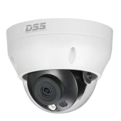 Camera IP Dome Có Dây 4.0 Megapixel IP DAHUA DS2431RDIP-S2