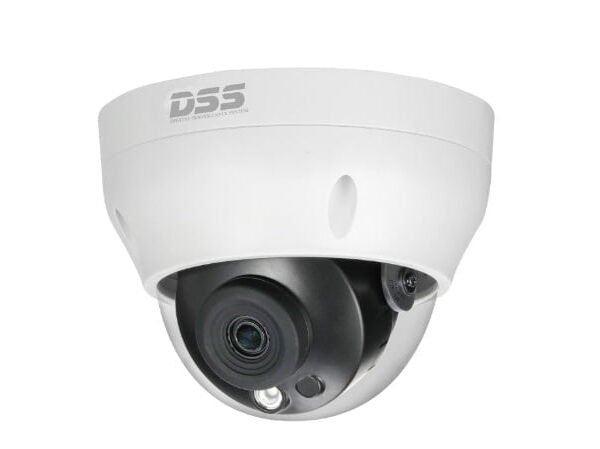 Camera IP Dome Có Dây 4.0 Megapixel IP DAHUA DS2431RDIP-S2