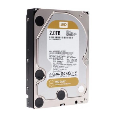 Ổ cứng chuyên Camera 2TB Western Gold WD2005FBYZ