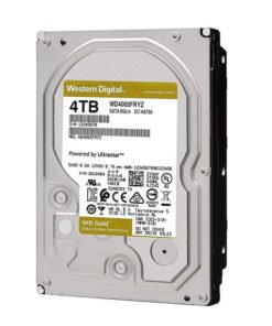 Ổ cứng chuyên Camera 4TB Western Gold WD4003FRYZ