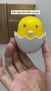 Gia Camera Nguy Trang Den Ngu Cam Ung Bi Mat 4