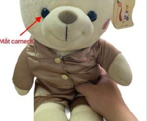 Giá Camera ngụy trang vào Gấu bông các loại bí mật
