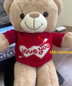 Camera Ngụy Trang Wifi Gấu Bông