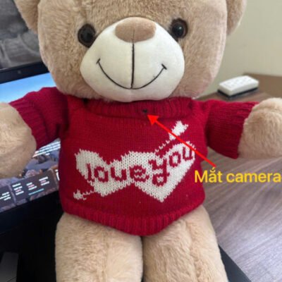 Camera Ngụy Trang Wifi Gấu Bông