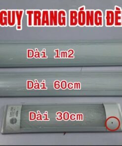 Camera Ngụy Trang Bóng đèn Tuýp Led Rạng Đông