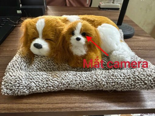 Chó Bông Tích Hợp Camera – vị trí ống kính trên chó bông