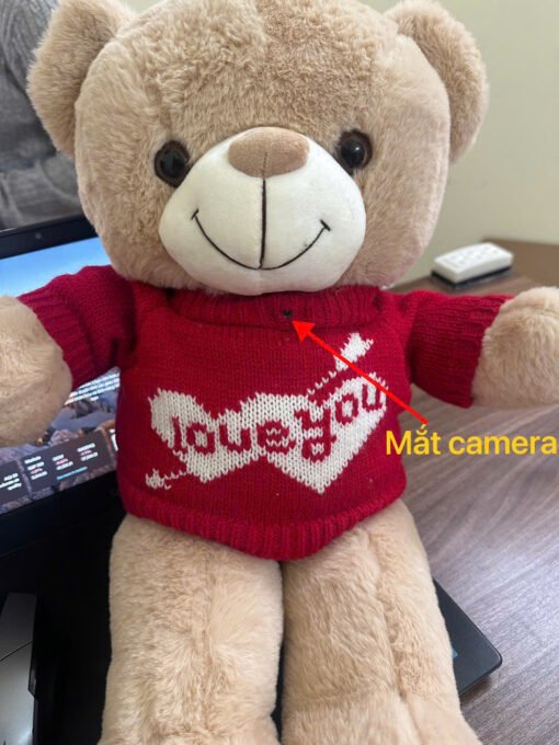 Gấu Bông Tích Hợp Camera – mũi tên chỉ vị trí camera trên gấu bông