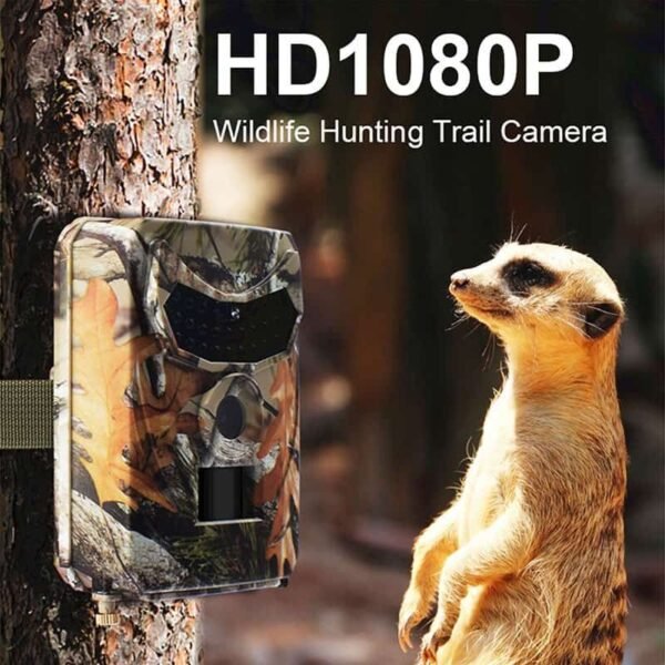 Camera quan sát động vật WHC-1 12MP ngoài trời